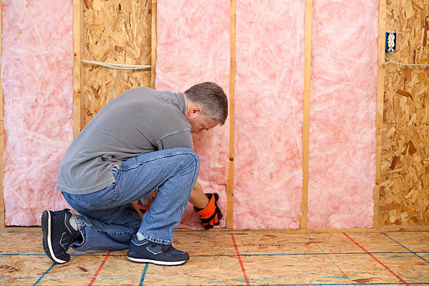 Types of Insulation We Offer in Black Diamond, WA