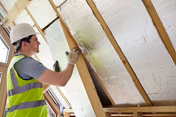 Best DIY Insulation Kits and Guidance in Black Diamond, WA